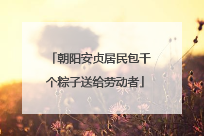 朝阳安贞居民包千个粽子送给劳动者
