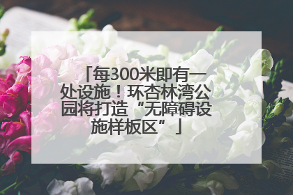 每300米即有一处设施！环杏林湾公园将打造“无障碍设施样板区”