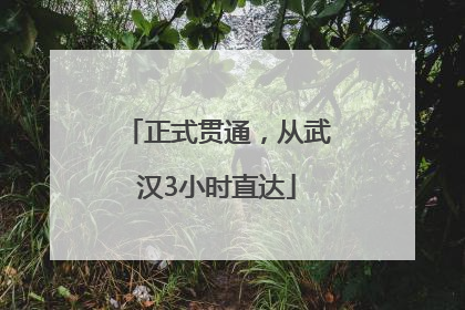 正式贯通，从武汉3小时直达