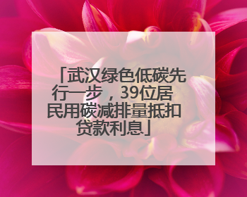 武汉绿色低碳先行一步，39位居民用碳减排量抵扣贷款利息