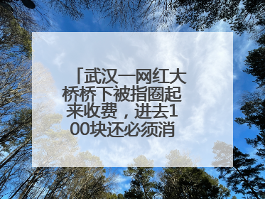 武汉一网红大桥桥下被指圈起来收费，进去100块还必须消费？当地回应