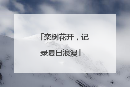 栾树花开，记录夏日浪漫
