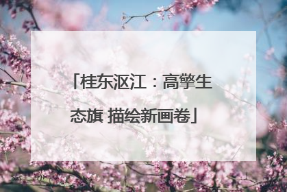 桂东沤江：高擎生态旗 描绘新画卷