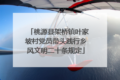桃源县架桥镇叶家坡村党员带头践行乡风文明二十条规定