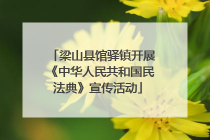 梁山县馆驿镇开展《中华人民共和国民法典》宣传活动