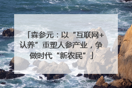 森参元：以“互联网+认养”重塑人参产业，争做时代“新农民”