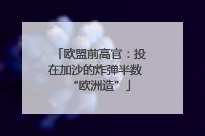 欧盟前高官：投在加沙的炸弹半数“欧洲造”