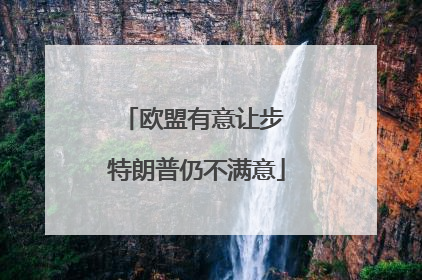 欧盟有意让步 特朗普仍不满意