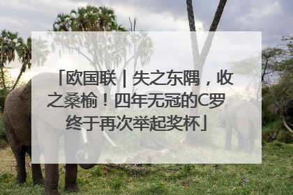 欧国联｜失之东隅，收之桑榆！四年无冠的C罗终于再次举起奖杯