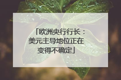 欧洲央行行长：美元主导地位正在变得不确定
