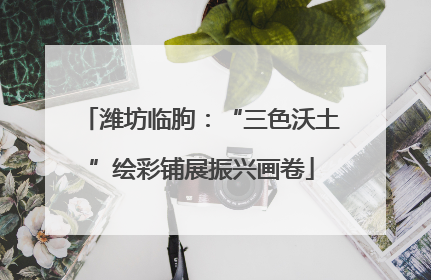 潍坊临朐：“三色沃土”绘彩铺展振兴画卷