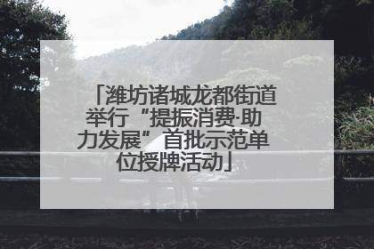 潍坊诸城龙都街道举行“提振消费·助力发展”首批示范单位授牌活动
