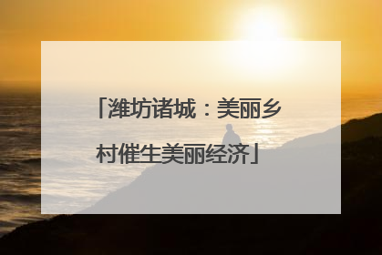 潍坊诸城：美丽乡村催生美丽经济