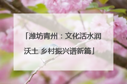 潍坊青州：文化活水润沃土 乡村振兴谱新篇