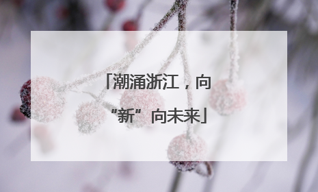 潮涌浙江，向“新”向未来