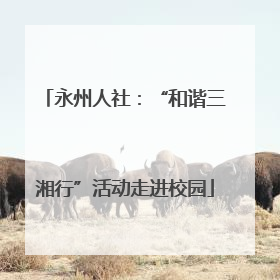 永州人社：“和谐三湘行”活动走进校园