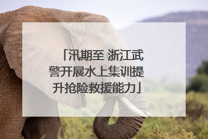汛期至 浙江武警开展水上集训提升抢险救援能力
