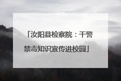汝阳县检察院：干警禁毒知识宣传进校园