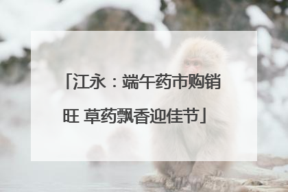 江永：端午药市购销旺 草药飘香迎佳节