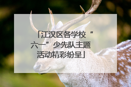 江汉区各学校“六一”少先队主题活动精彩纷呈