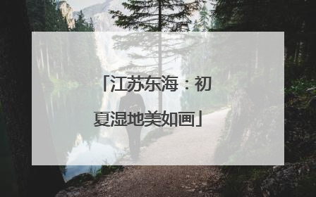 江苏东海：初夏湿地美如画