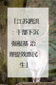江苏泗洪：干部下沉强根基 治理提效惠民生
