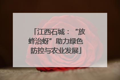 江西石城：“放蜂治蚜”助力绿色防控与农业发展