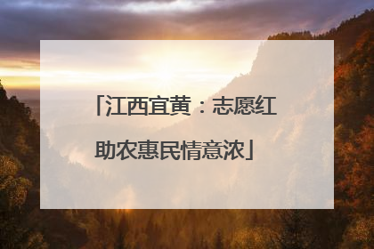 江西宜黄：志愿红助农惠民情意浓