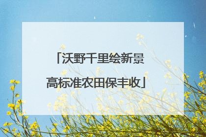沃野千里绘新景 高标准农田保丰收