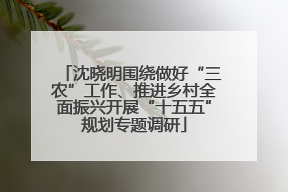 沈晓明围绕做好“三农”工作、推进乡村全面振兴开展“十五五”规划专题调研