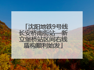 沈阳地铁9号线长安桥南街站—新立堡桥站区间右线盾构顺利始发