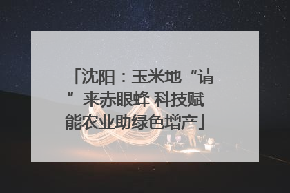 沈阳：玉米地“请”来赤眼蜂 科技赋能农业助绿色增产