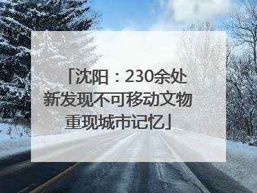 沈阳：230余处新发现不可移动文物重现城市记忆