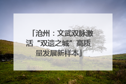 沧州：文武双脉激活“双遗之城”高质量发展新样本