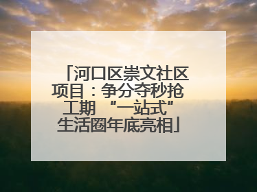 河口区崇文社区项目：争分夺秒抢工期 “一站式”生活圈年底亮相