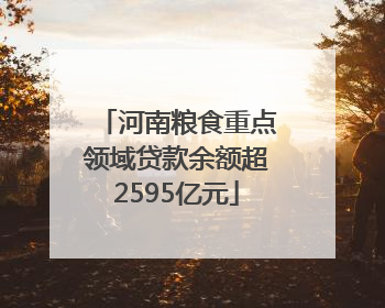 河南粮食重点领域贷款余额超2595亿元