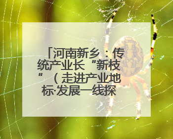 河南新乡：传统产业长“新枝”（走进产业地标·发展一线探变化）
