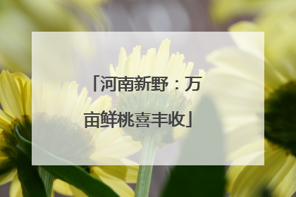 河南新野：万亩鲜桃喜丰收