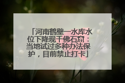 河南鹤壁一水库水位下降现千佛石窟：当地试过多种办法保护，目前禁止打卡