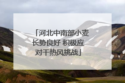 河北中南部小麦长势良好 积极应对干热风挑战