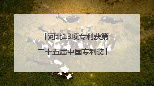 河北13项专利获第二十五届中国专利奖