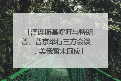 泽连斯基呼吁与特朗普、普京举行三方会谈，美俄暂未回应