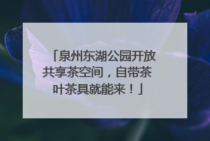 泉州东湖公园开放共享茶空间，自带茶叶茶具就能来！
