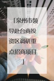 泉州市领导赴台商投资区调研重点招商项目