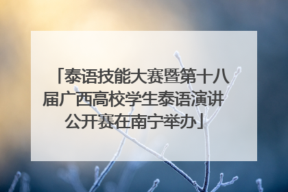 泰语技能大赛暨第十八届广西高校学生泰语演讲公开赛在南宁举办