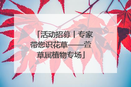 活动招募丨专家带您识花草——萱草属植物专场