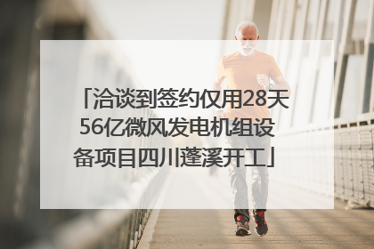 洽谈到签约仅用28天 56亿微风发电机组设备项目四川蓬溪开工