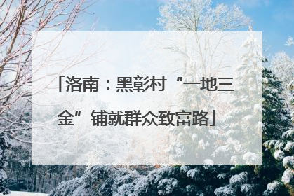 洛南：黑彰村“一地三金”铺就群众致富路
