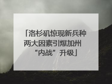 洛杉矶惊现新兵种 两大因素引爆加州“内战”升级