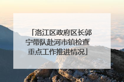 洛江区政府区长郭宁带队赴河市镇检查重点工作推进情况